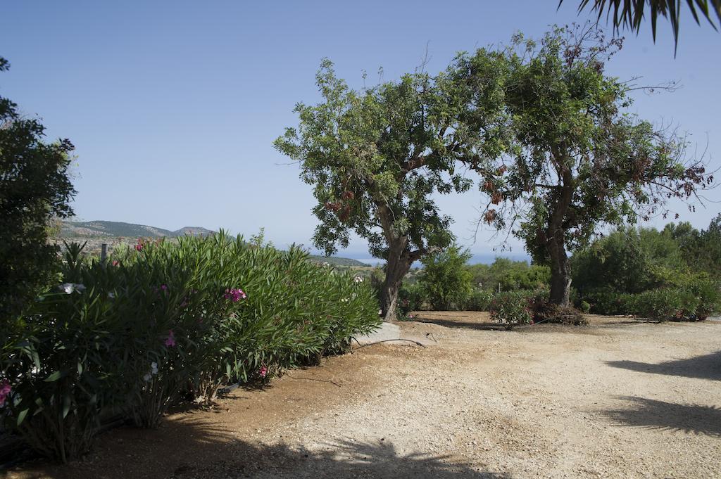 Akamas Edge Villas Полис Стая снимка